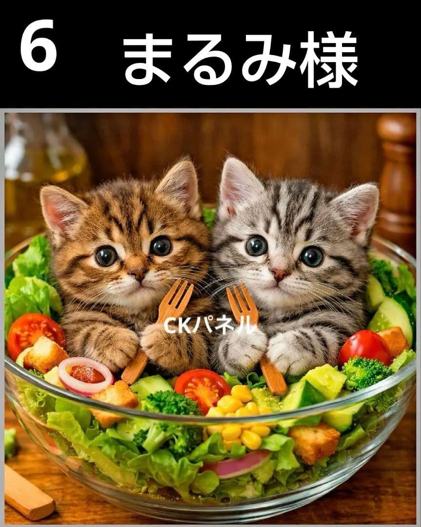 オーダーページ　ハンカチ　225 サラダねこちゃん柄　ハンドメイド2/15