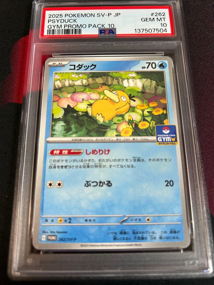 ポケモンカード　コダック　ジムプロモ　PSA10 ③