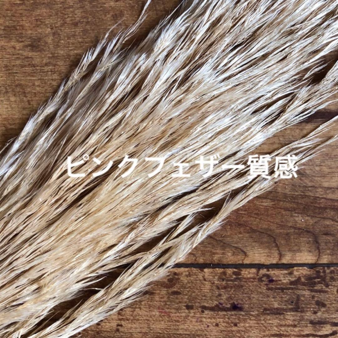 パンパスグラス フライングリース 33cm 【2】ホワイトピンクフェザー