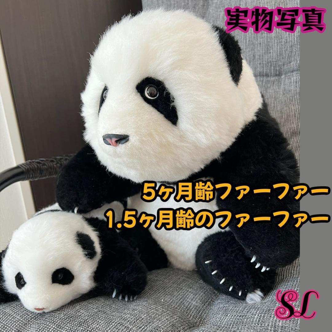パンダ ぬいぐるみ 心を溶かすふわふわの抱き心地1.5ヶ月齢花花
