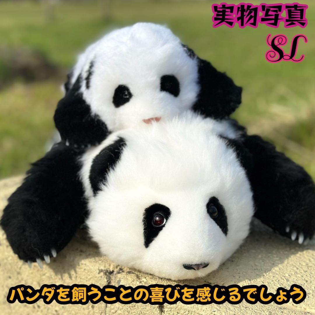 パンダ ぬいぐるみ 心を溶かすふわふわの抱き心地1.5ヶ月齢花花