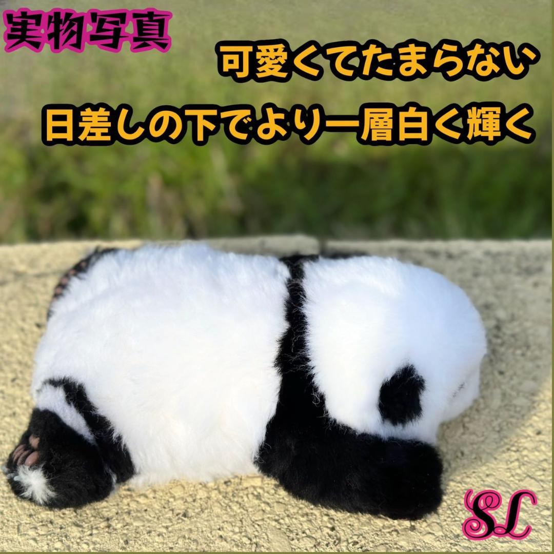 パンダ ぬいぐるみ 心を溶かすふわふわの抱き心地1.5ヶ月齢花花