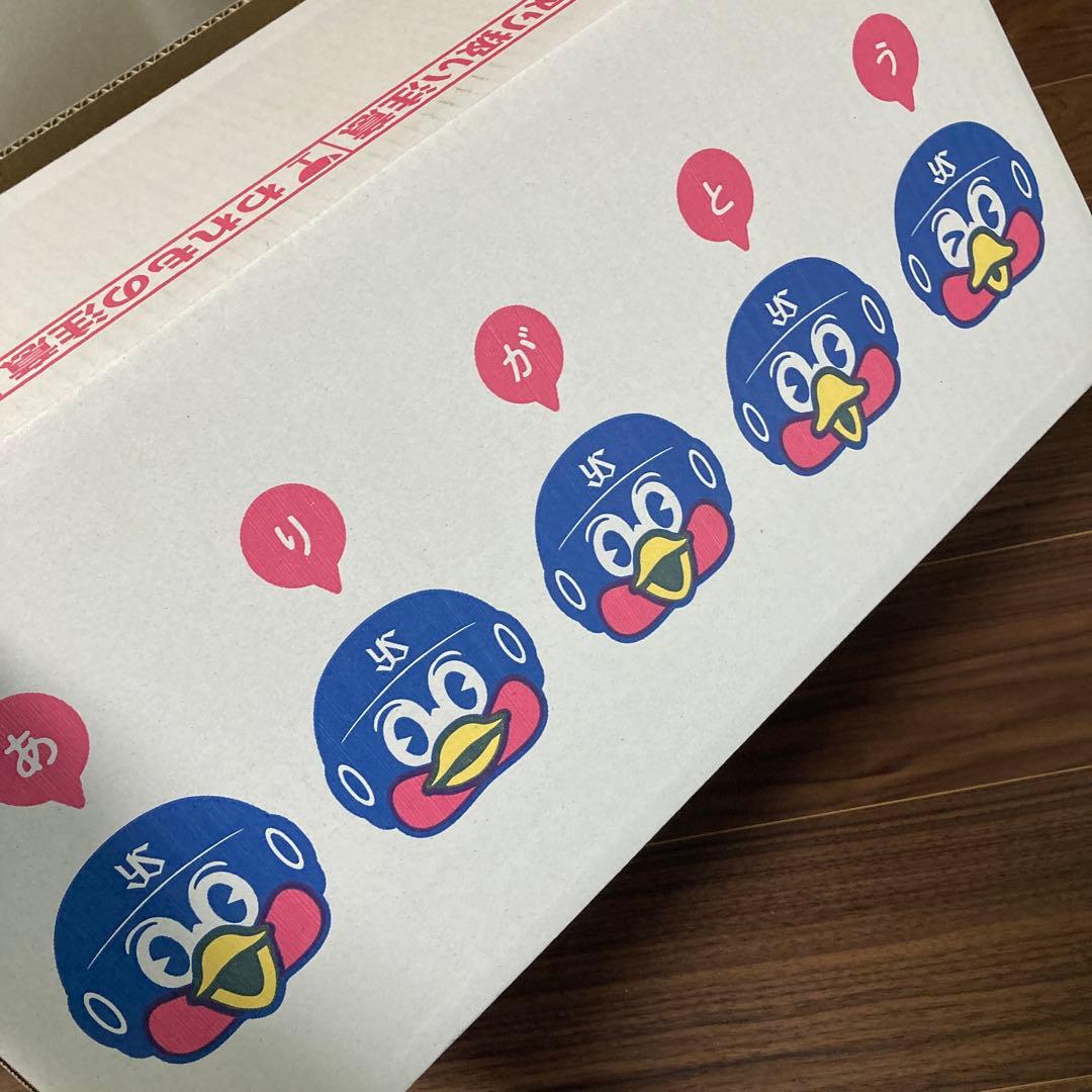 2026年 スワローズクルー入会特典 リュック、桶等