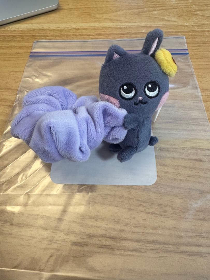 Riize ウォンビン トニャンドク シュシュ