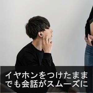 JVC ケンウッド ビクター HA-A30T-P ピンク