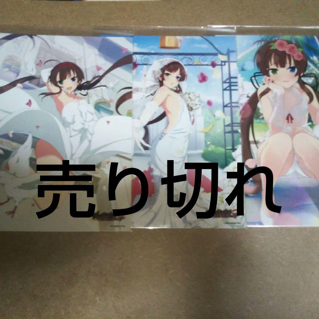 閃乱カグラ ウェディングドレス 銀塩ブロマイド 11枚セット