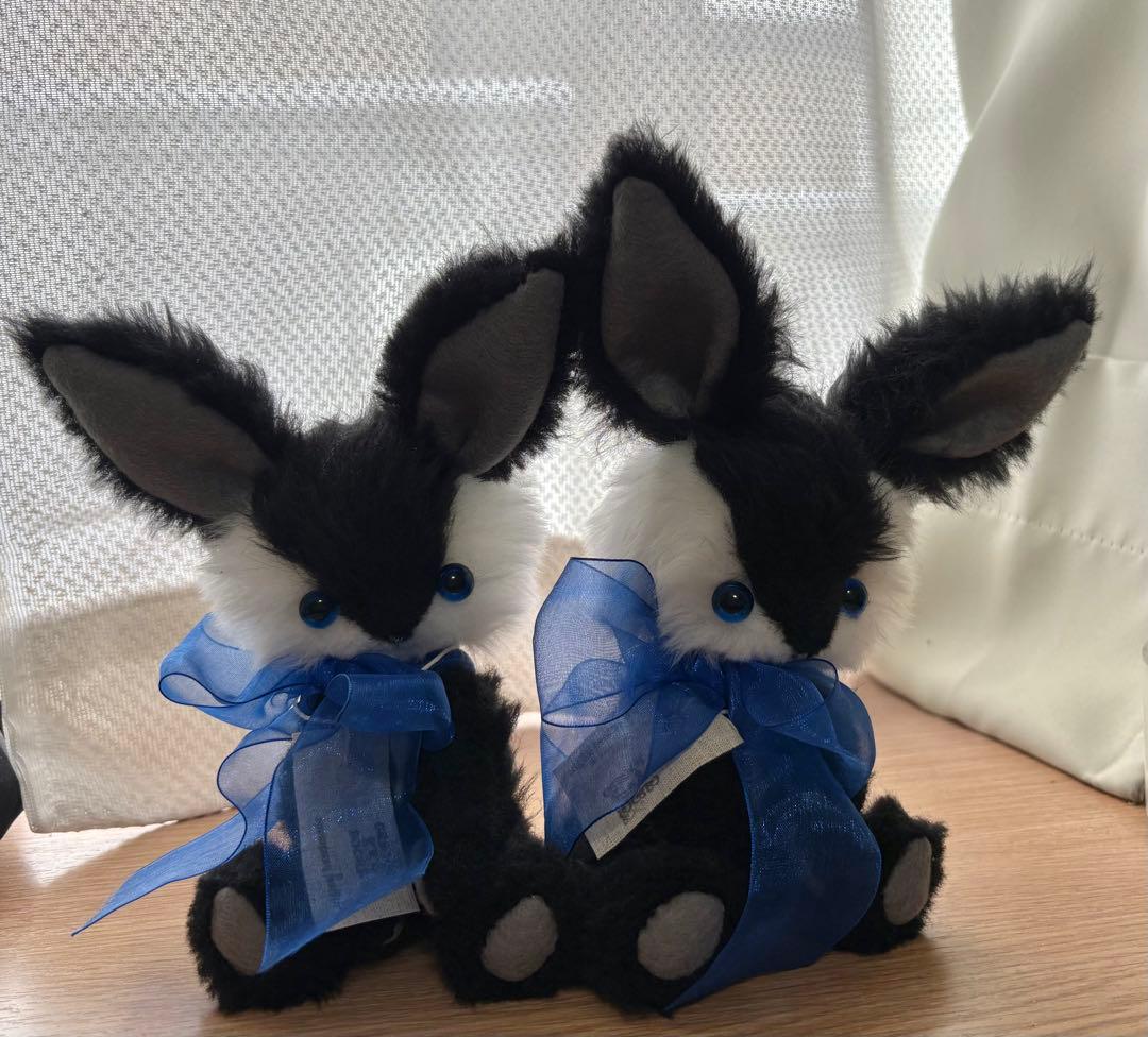 双子黒白うさぎさん