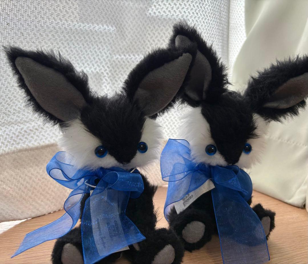 双子黒白うさぎさん