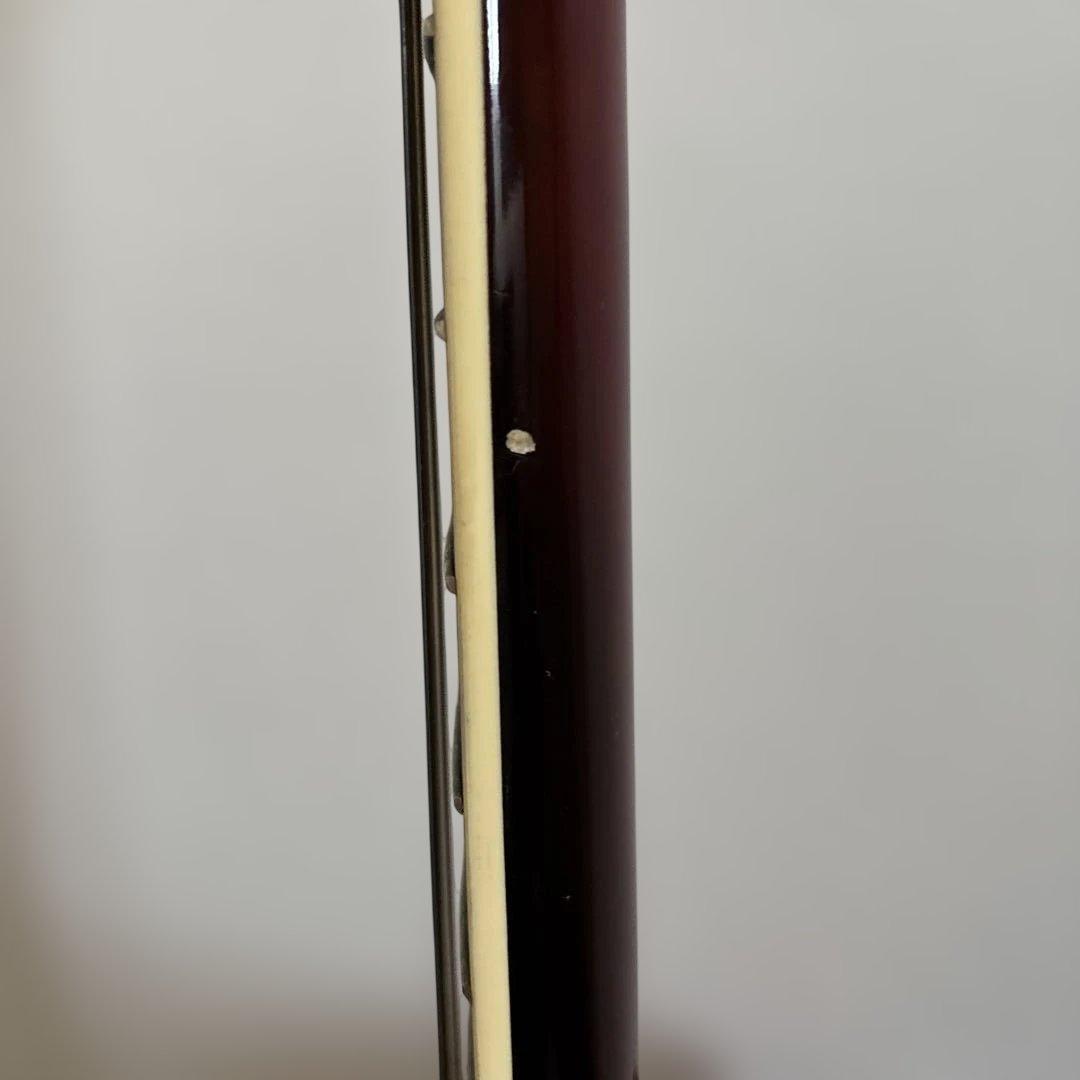 SX DG1K/VS アコースティックギター