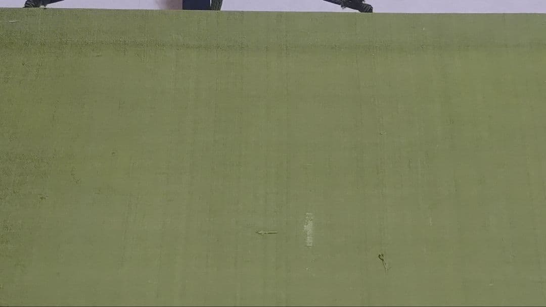 ご希望額まで値下げ～@岡山県倉敷市の美術作家 若山侑 『花園』 肉筆掛軸