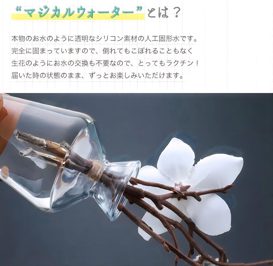 光触媒　観葉植物　ウォールグリーン　フェイクグリーン　マジカルウォーター7855
