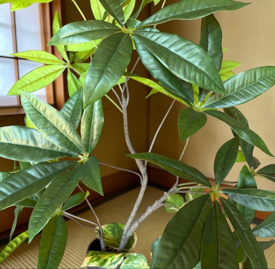 光触媒　観葉植物　ウォールグリーン　フェイクグリーン　マジカルウォーター7855