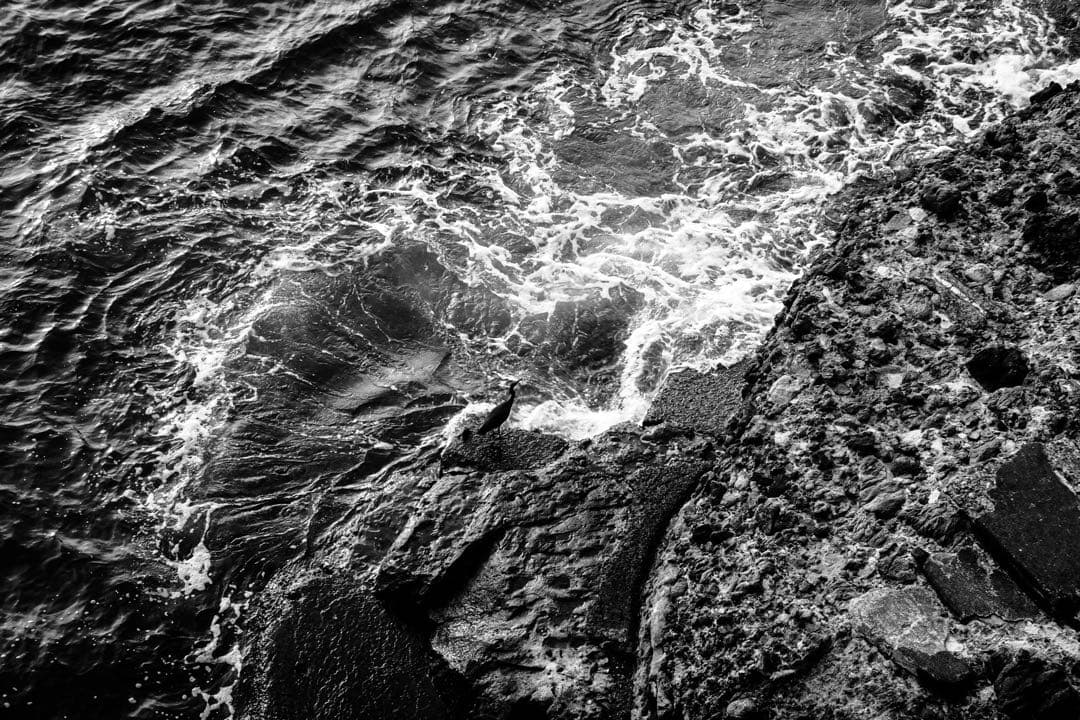 ライカ　エルマー 50mm f3.5 ニッケル