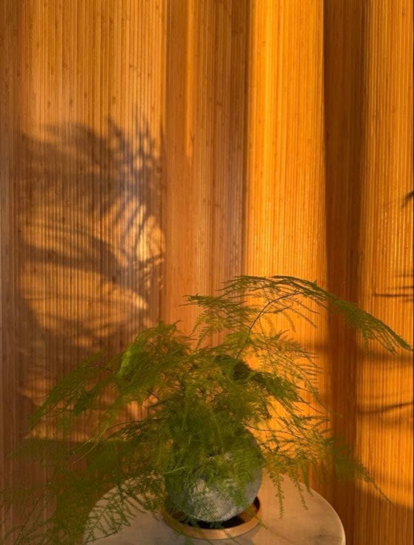 木製 波形パーテーション　縦（高さ）約180cm x 横幅200cm 送料込み