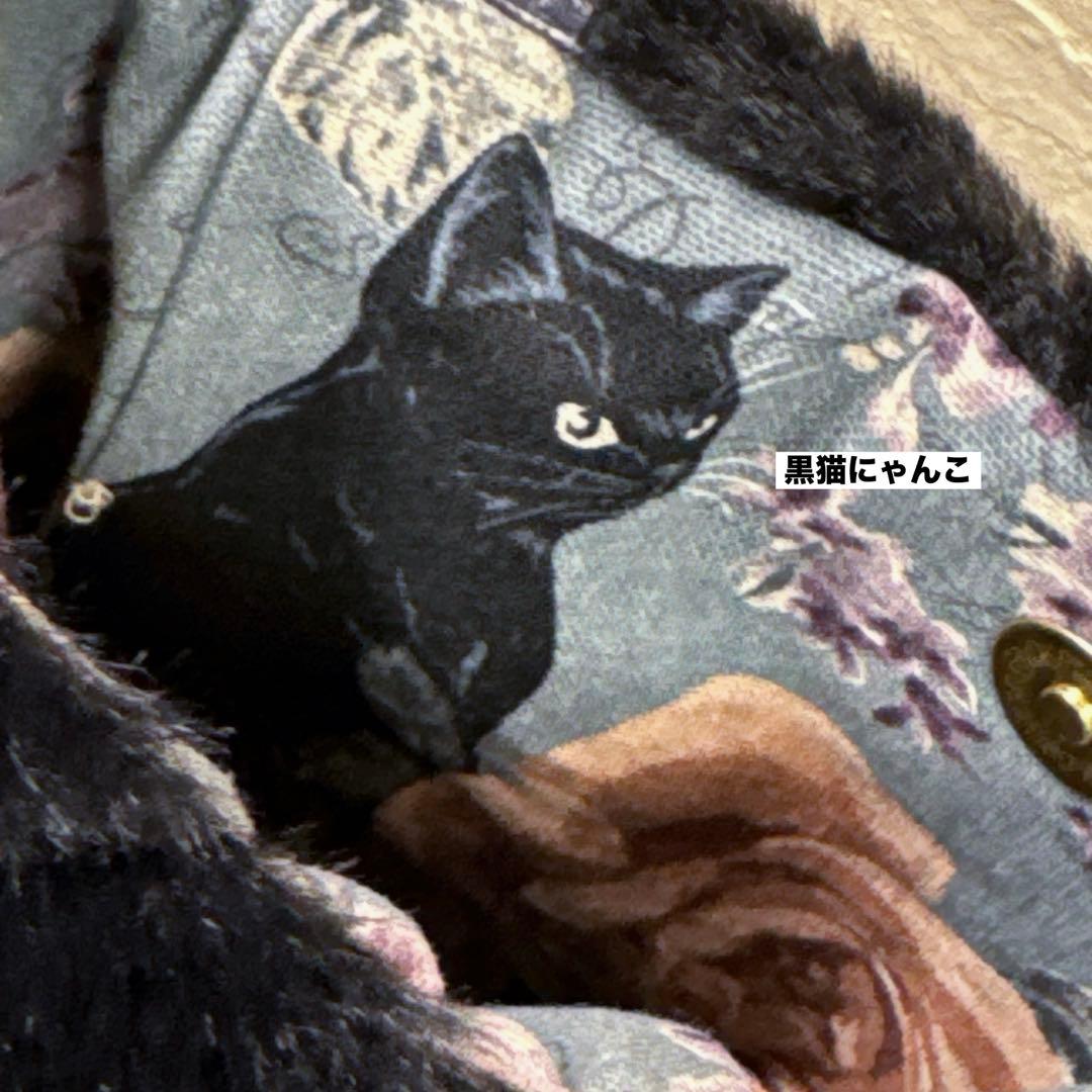 コヤンイサムチョン♡ダルメシアンジョース君キルティングパール付ファーのサコッシュ