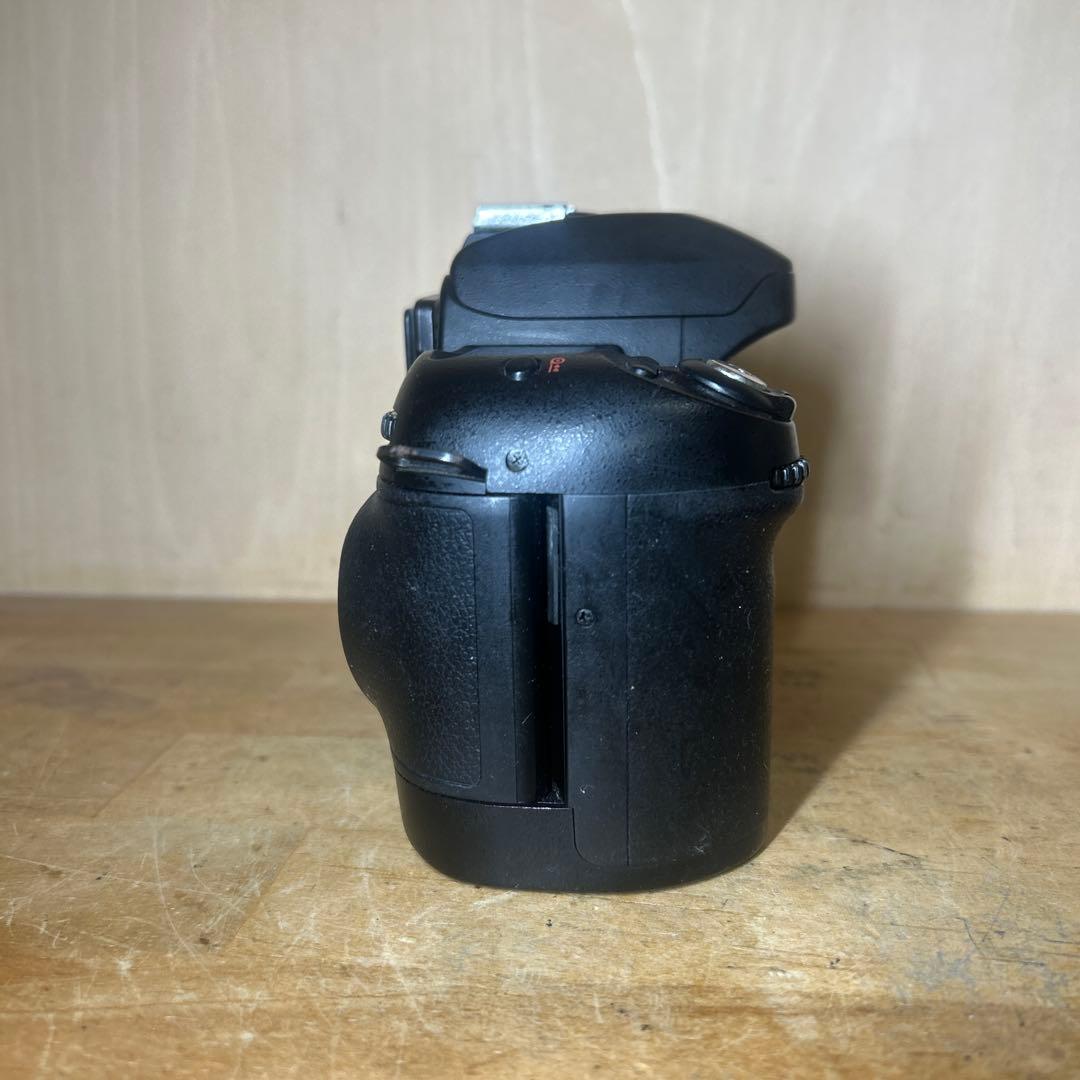 Nikon F80 ボディー完動極美品