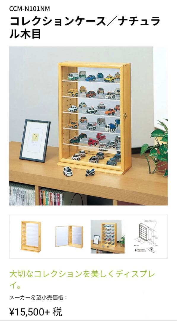 Nakabayashiコレクションケース　送料込