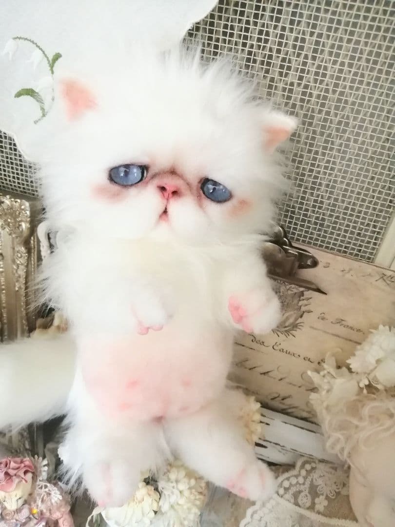 モコたん様♡オーダー♡お腹ぽっこり♡エキゾチックちゃん♡アートドール♡ぬいぐるみ