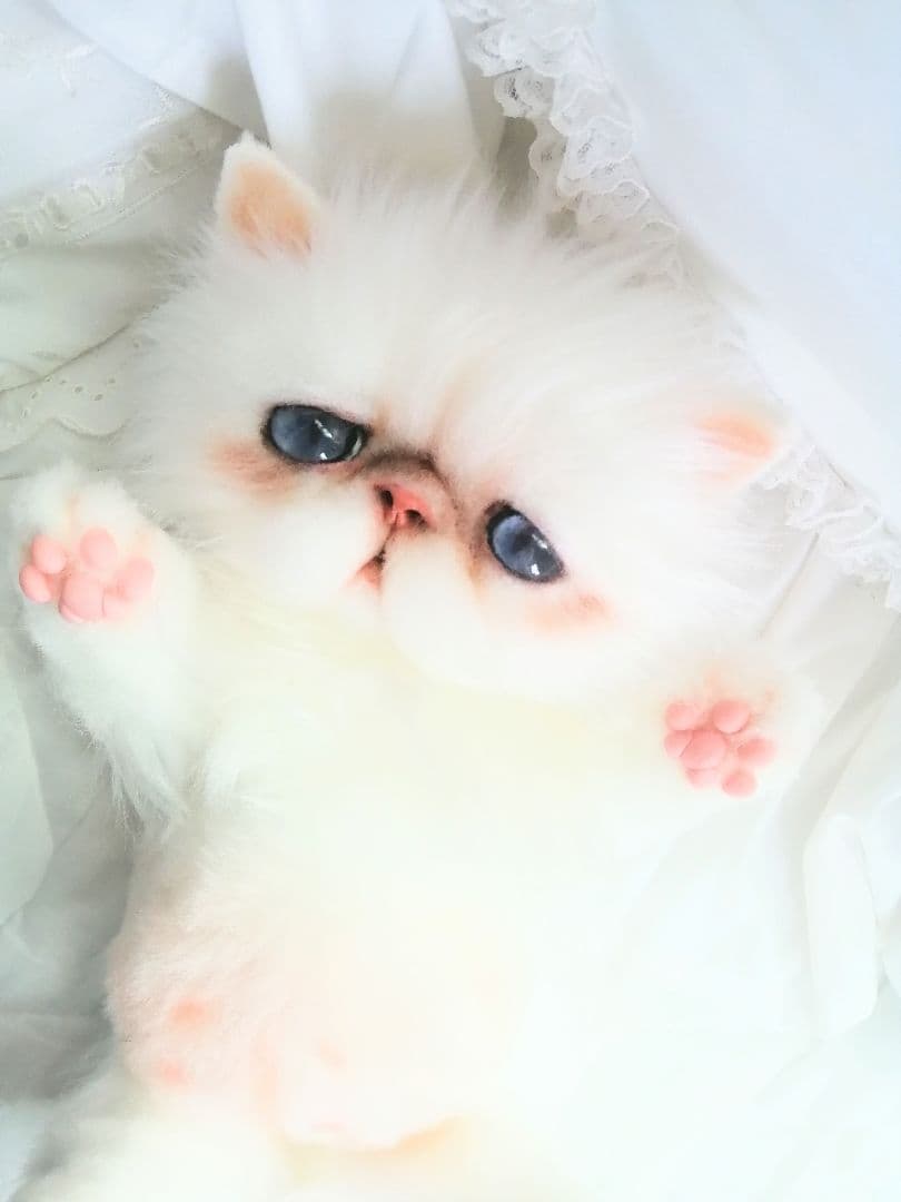 モコたん様♡オーダー♡お腹ぽっこり♡エキゾチックちゃん♡アートドール♡ぬいぐるみ