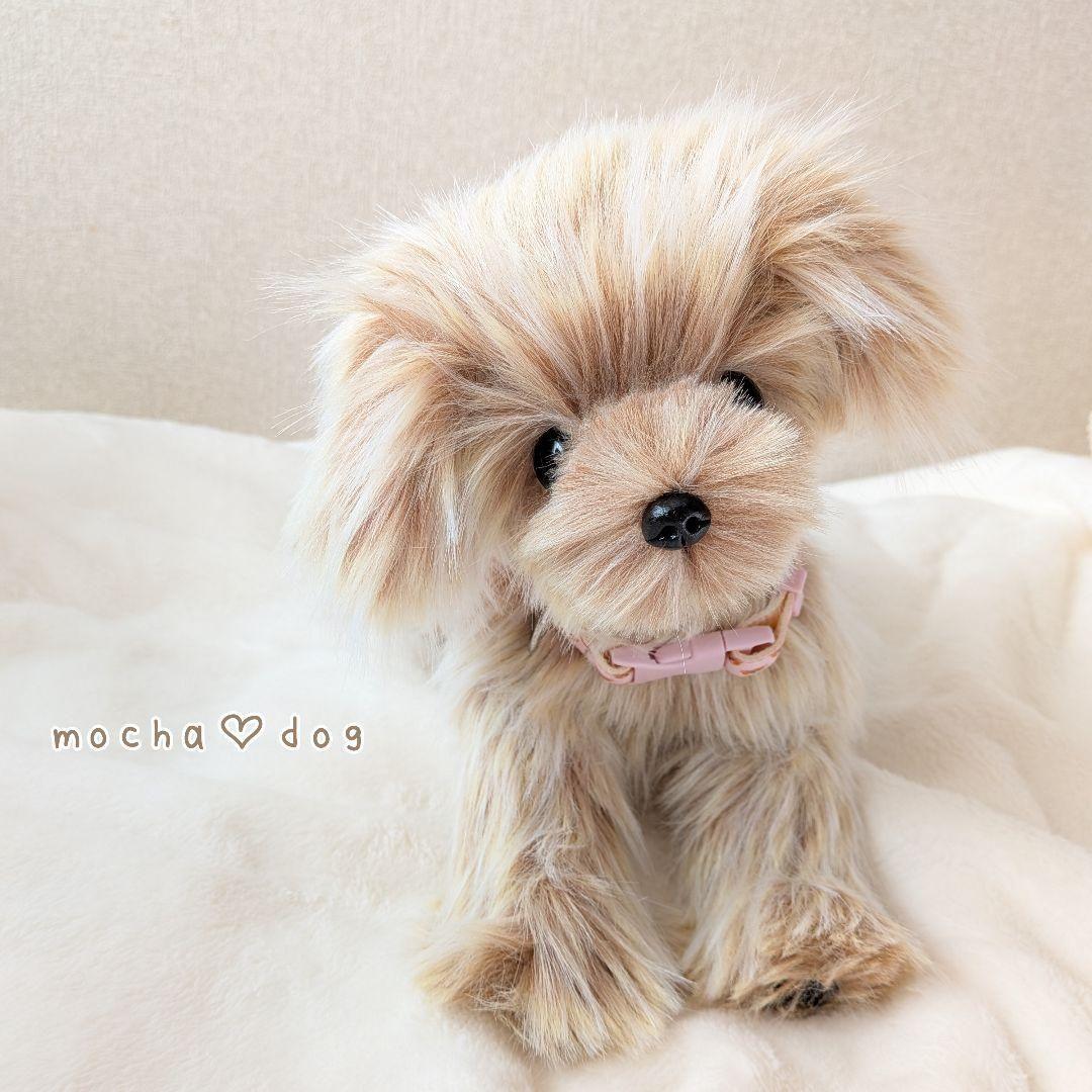 ＊mocha♡dog＊ マルプー(S)☆ぬいぐるみわんこ 犬 ハンドメイド