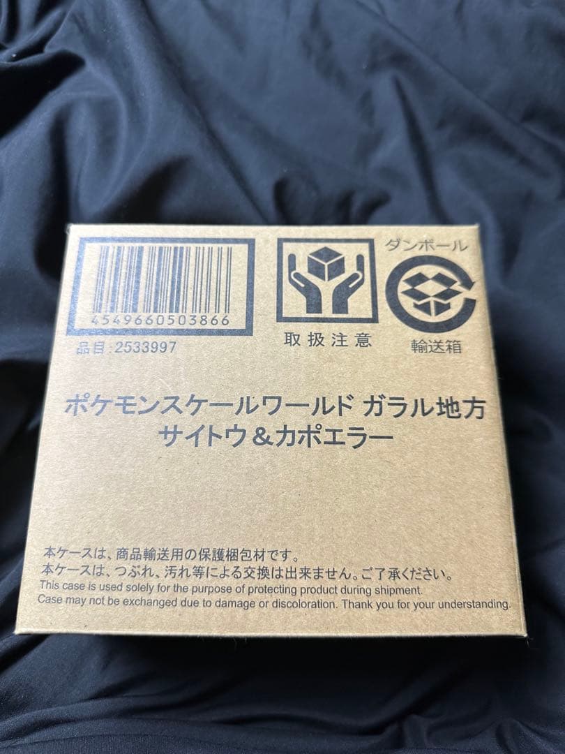 ポケモンスケールワールド ガラル地方 サイトウ＆カポエラー