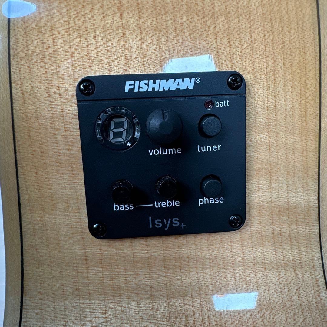 【美品】ROSSO ロッソ エレアコ ギター 虎木目 虎杢 メープル ケース付