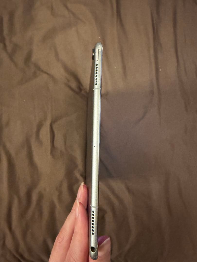 iPad本体 iPad Pro 9.7inch 256GB WiFi/Celler