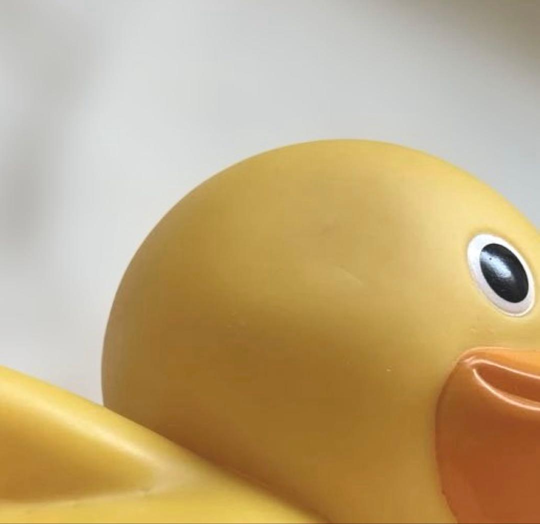 トロイマー　ケロタン　ガーコ　ビッグバンク
