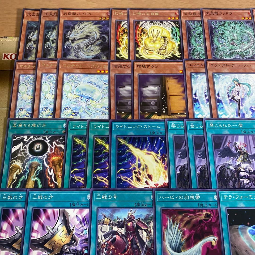 天盃龍 デッキ 天牌龍 遊戯王 本格構築済みデッキ 天盃龍パイドラ 腸炎の咎姫