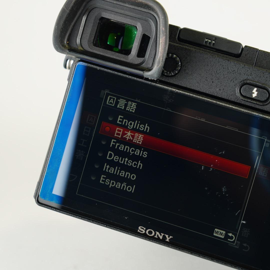 【美品】SONY α6300 バッテリー2個 64GB SDカード付 即撮影可