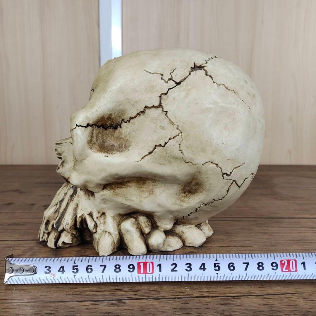 【まとめてお得】スカル　ドクロ　貯金箱　置物　チェーン　まとめ