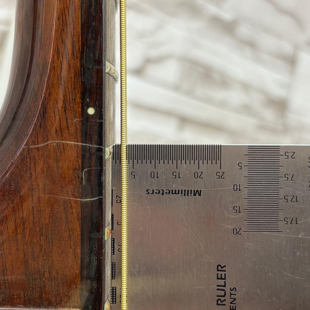 Takamine タカミネ エレアコ PT106