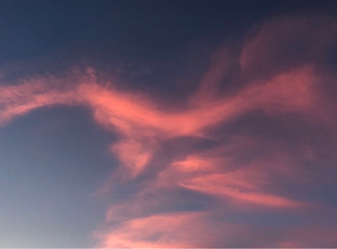 spiritualart✂︎宇宙を舞う鳳凰