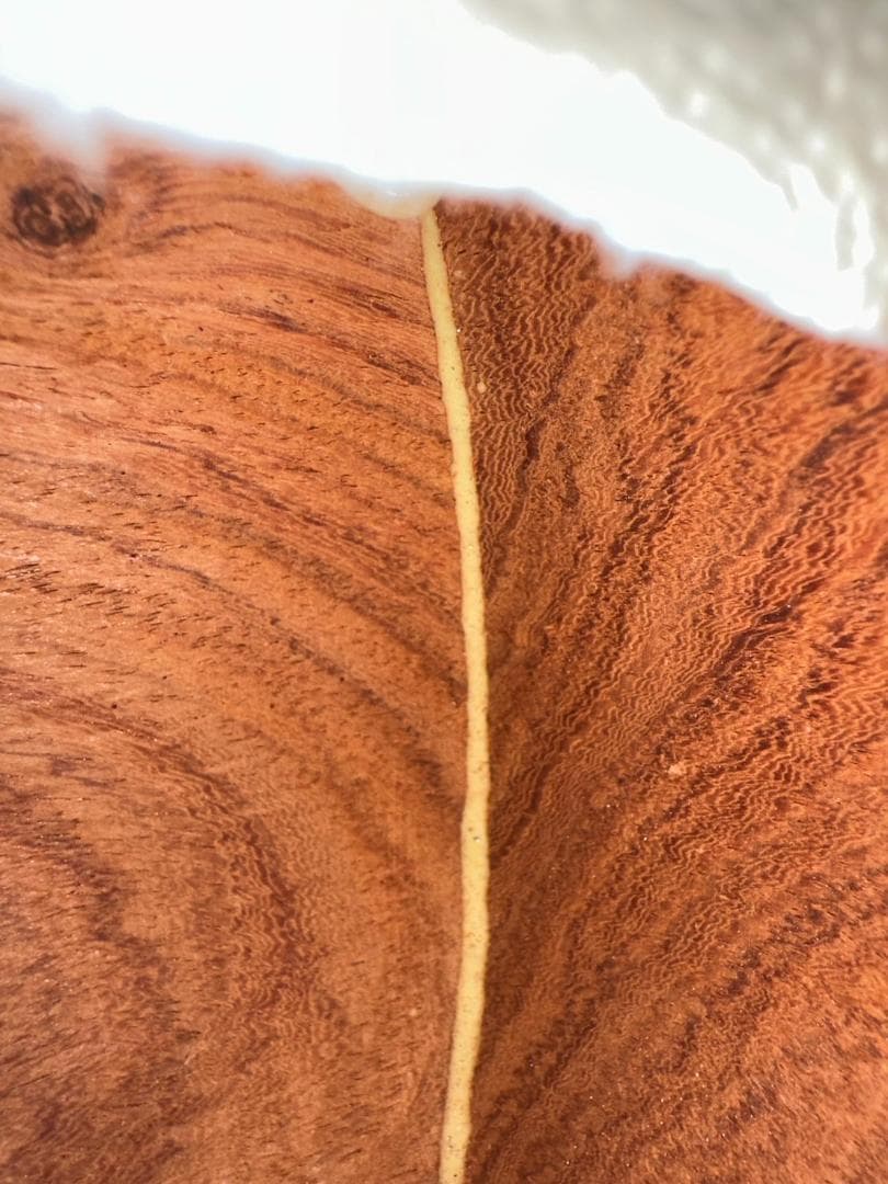 美品 津軽三味線 太棹 3.0cm 花梨 丸打ち胴 和楽器 付属品色々 ケース