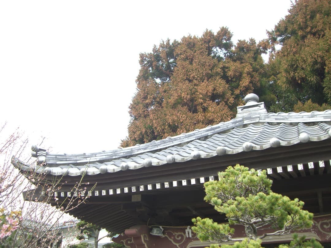 実写美⭕️美品【動作確認済】CASIO EXILIM EX-S770 デジカメ