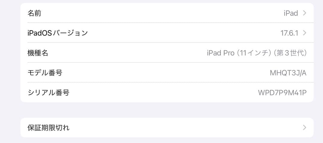 【出品27日まで】 iPad Pro Apple Pencil