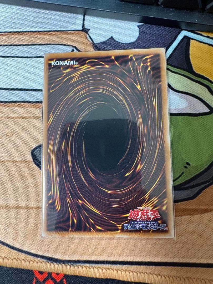 遊戯王OCG 霊王の皮動