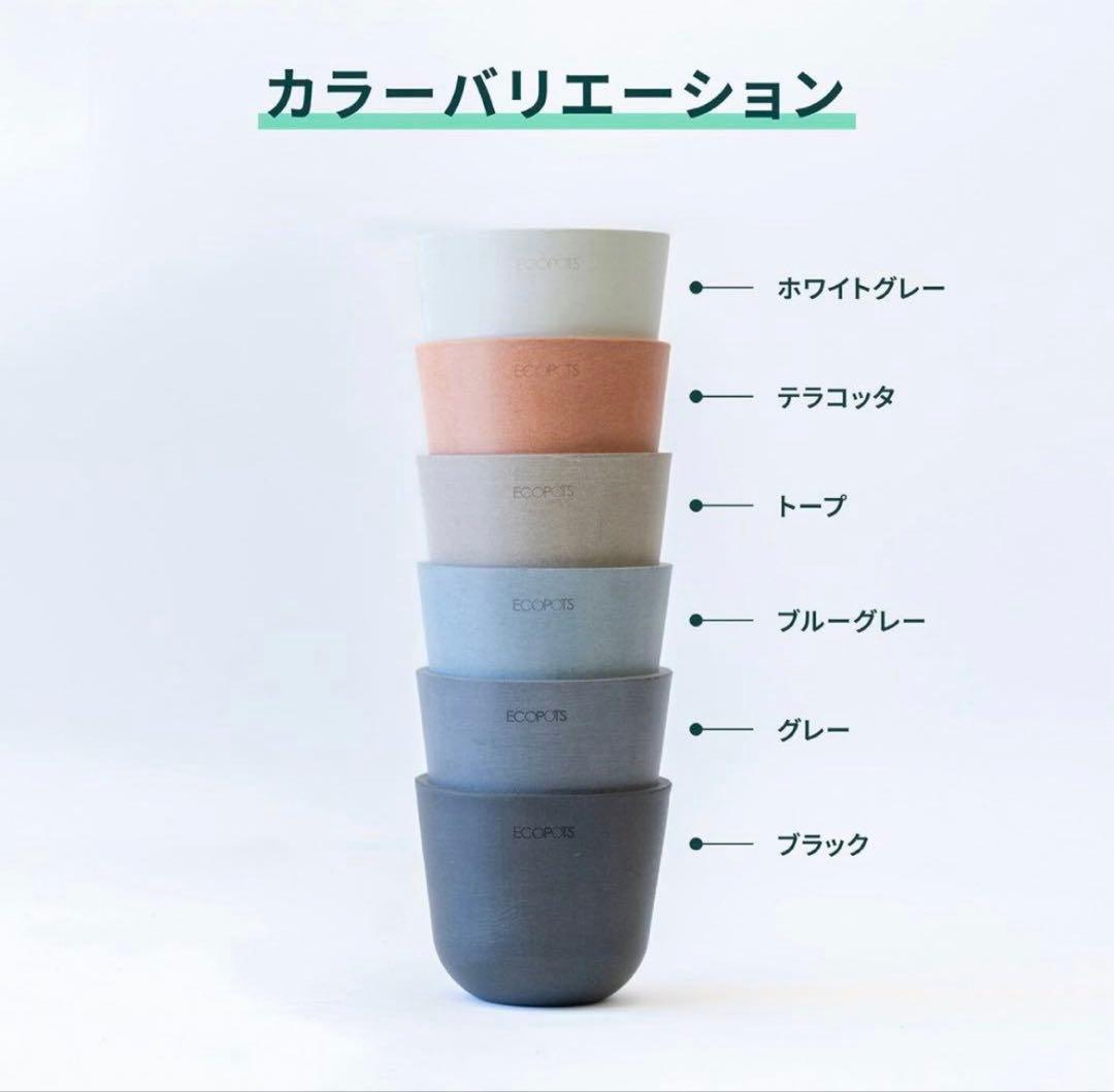 ECOPOTS Oslo エコポッツ AND PLANTS トープ鉢L 12号