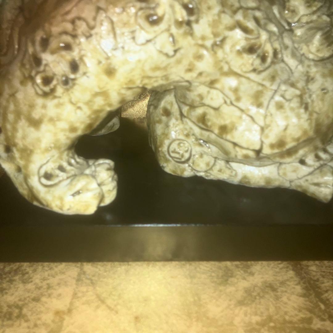 【超特級呪物】覚醒を齎し厄を払い除ける獅子像　開運　強運　勝ち運　勝利　繁盛