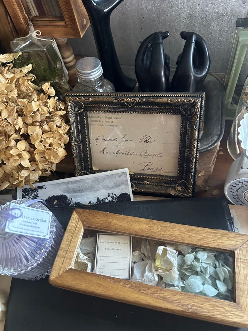 errer 樹脂標本 9種 植物標本 木箱入り 紫陽花 古道具 アンティーク