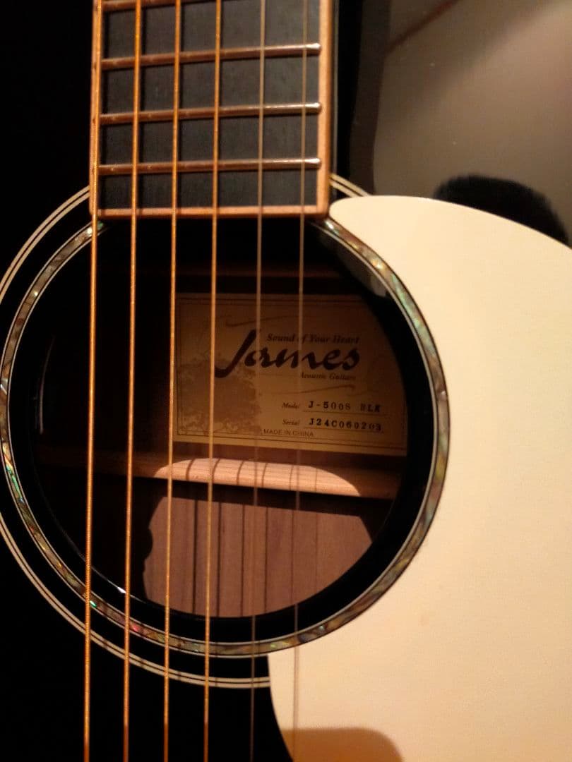 James ジェームス J-500S/BLK アコースティックギター