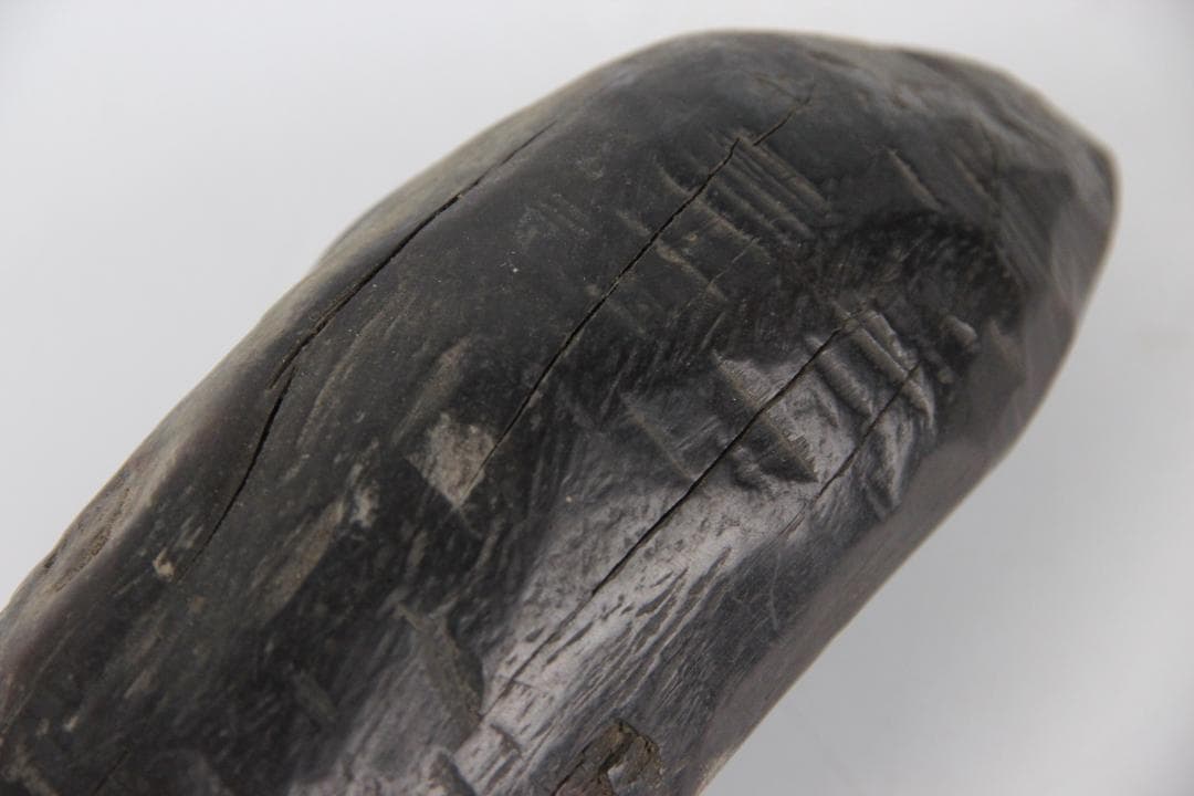 日本 明治時代 木彫 牛 置物 硬木彫刻 FF01-02