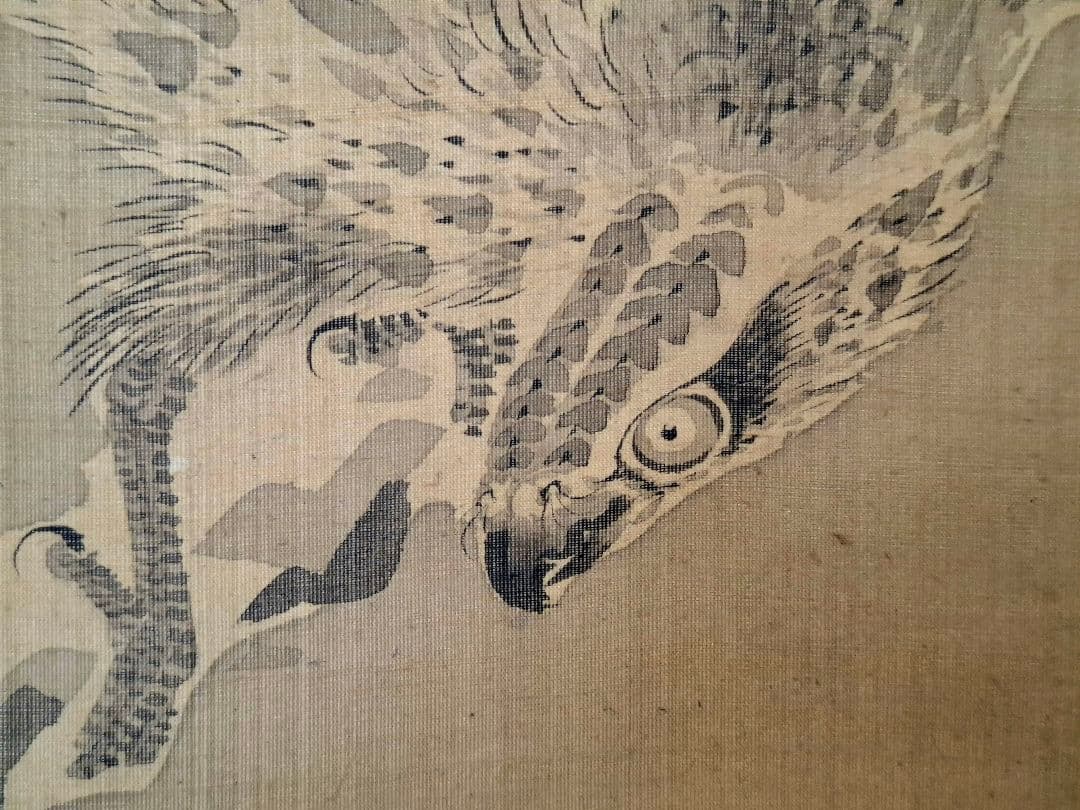 野口幽谷画　掛け軸　松鷹之圖　桐箱