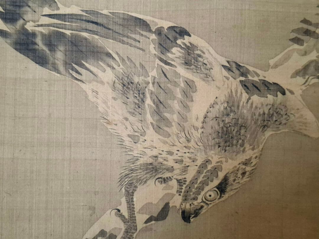 野口幽谷画　掛け軸　松鷹之圖　桐箱