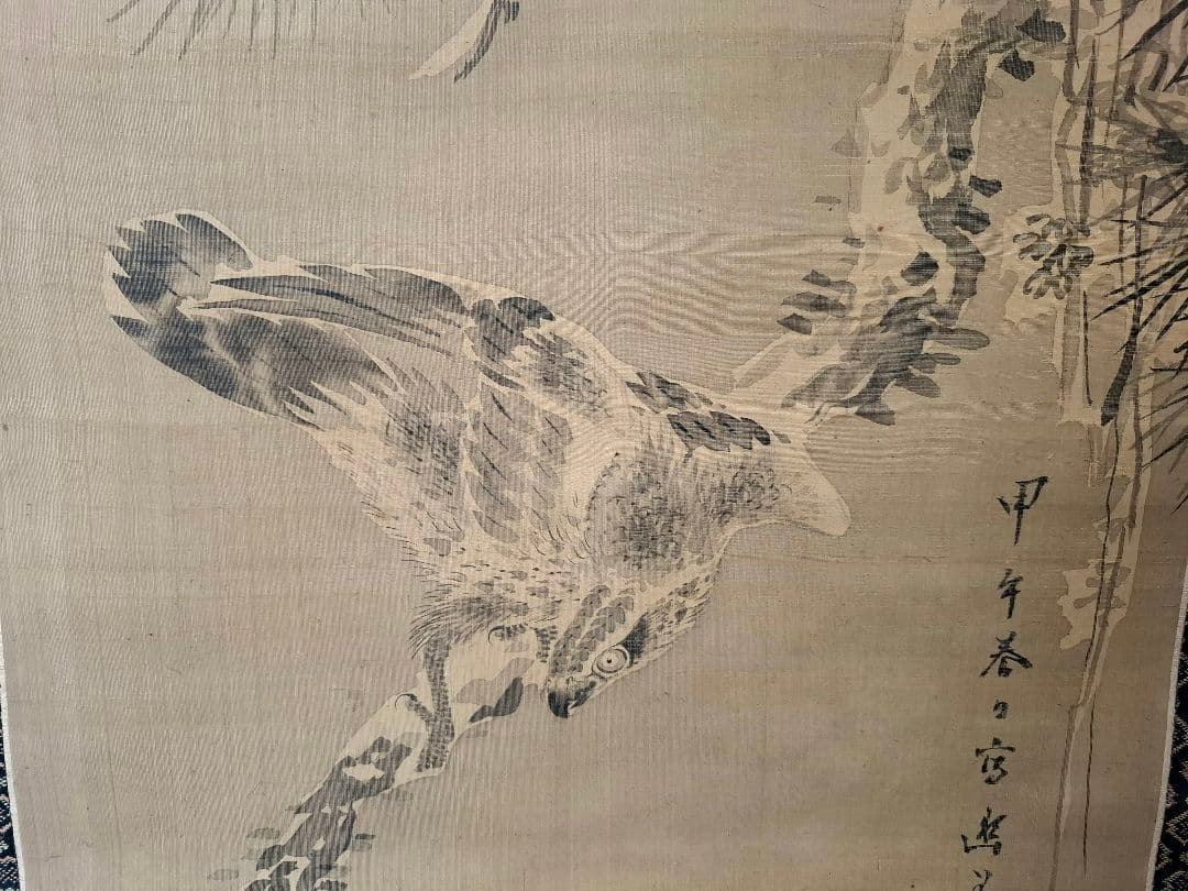 野口幽谷画　掛け軸　松鷹之圖　桐箱