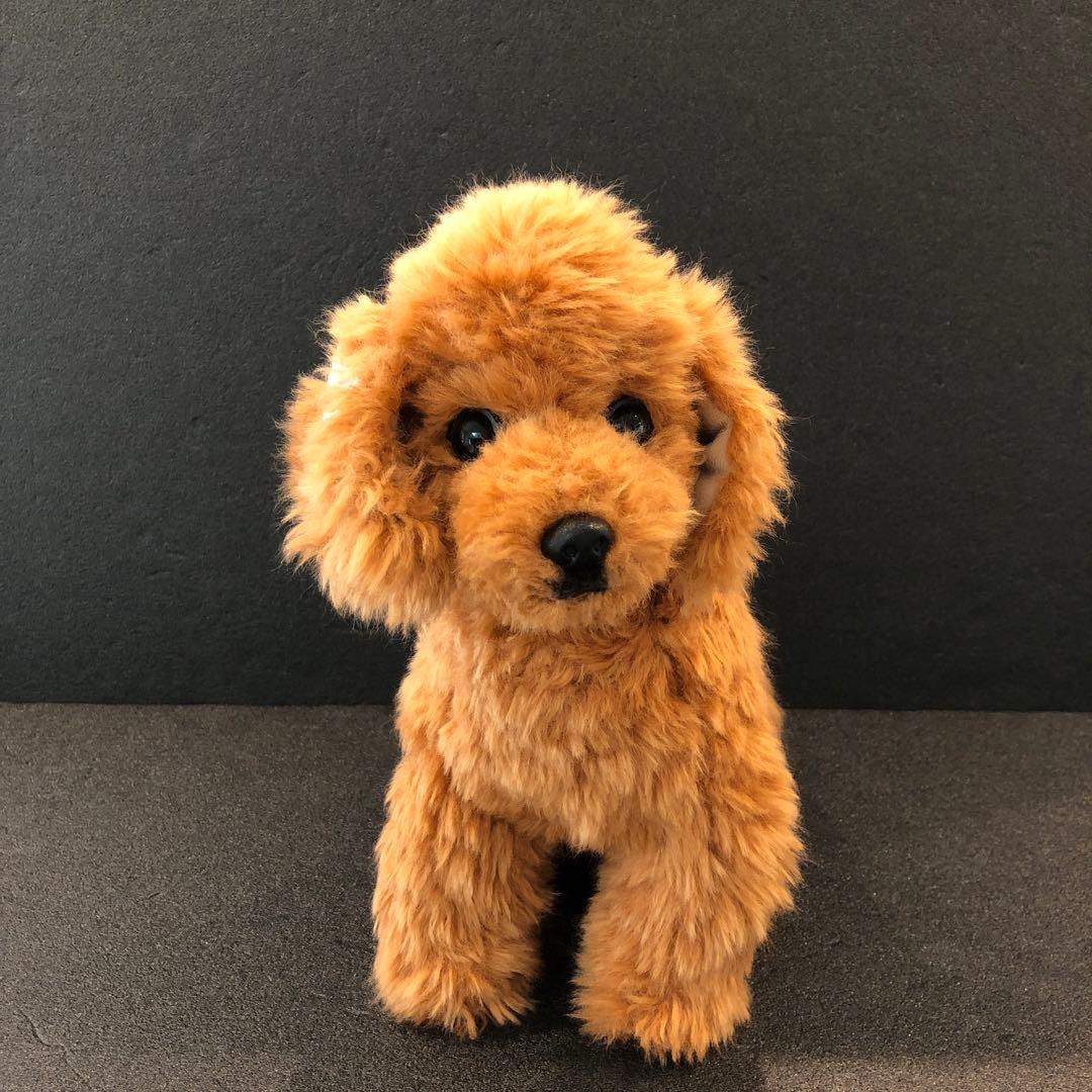 【新品】トイプードル お座りぬいぐるみ お洋服2枚付き H27cm