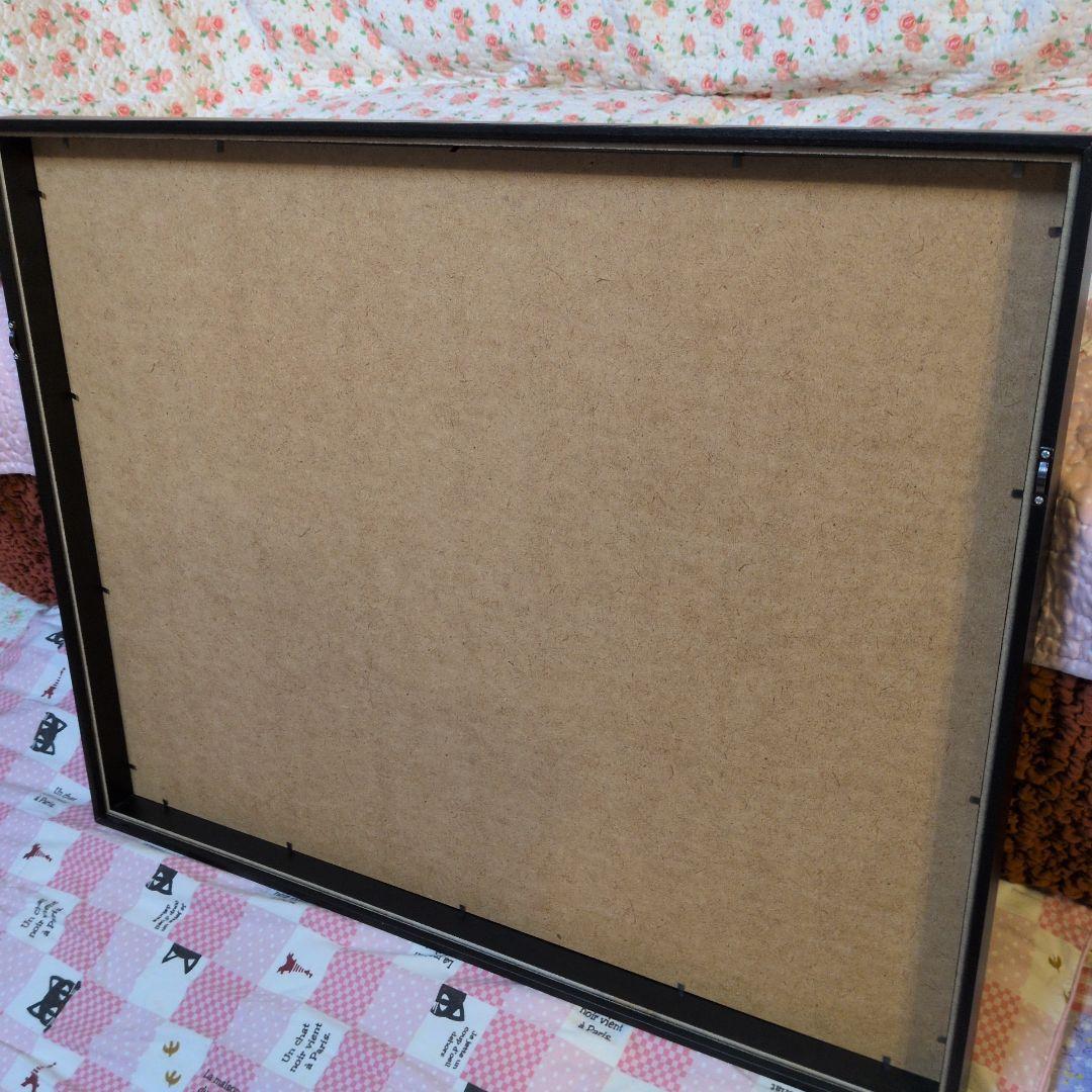 ピカソアート フレーム ハナトハト 花と鳩の線画アート 約70x 55cm 木枠