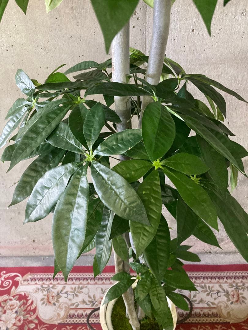 光触媒　人工観葉植物　ウォールグリーン　フェイクグリーン　パキラ特大@gja