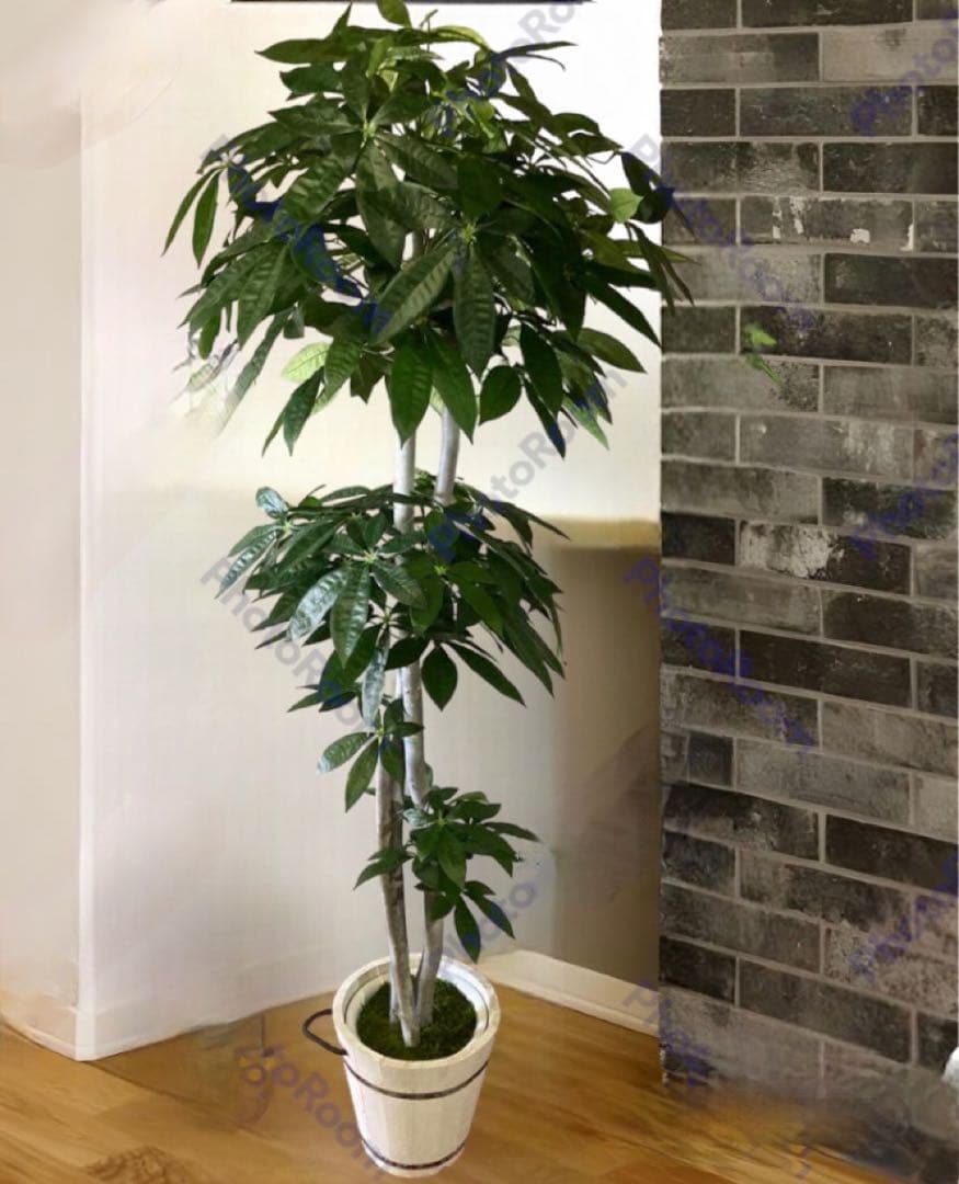 光触媒　人工観葉植物　ウォールグリーン　フェイクグリーン　パキラ特大@gja