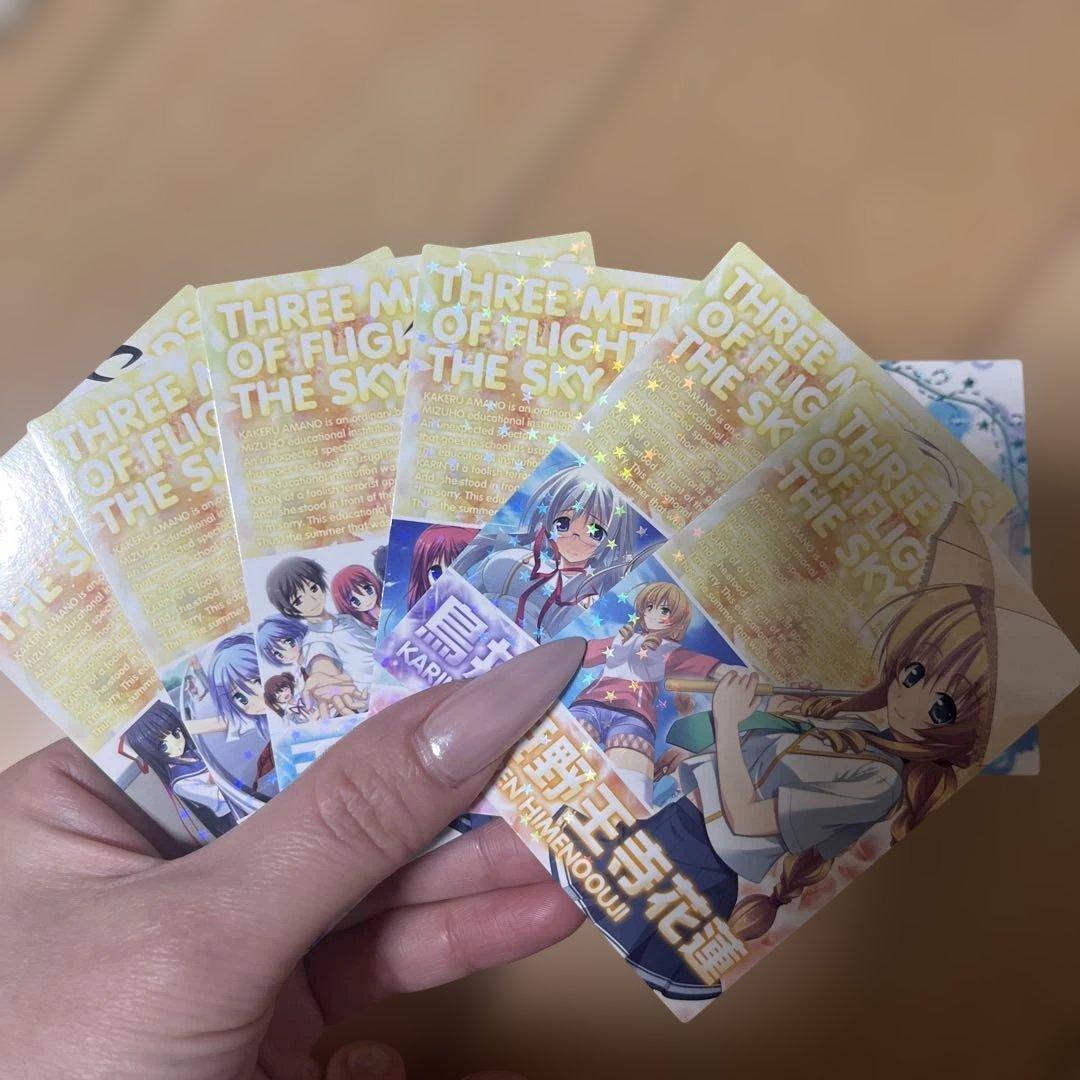 空を飛ぶ三つの方法レアカード多数シークレットありサイン入り全36枚